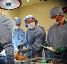 Low Cost Arthroplasty Surgery India
