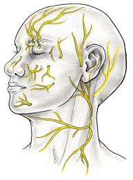 Plan your Neurosurgery in India with Tour2India4Health