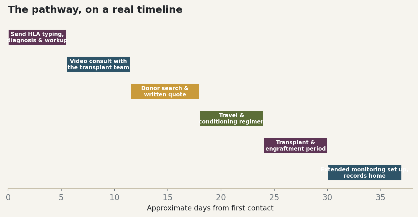 Chart: The pathway, on a real timeline