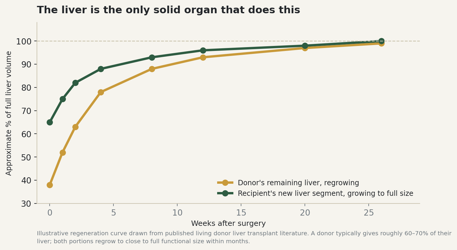 Chart: The liver is the only solid organ that does this