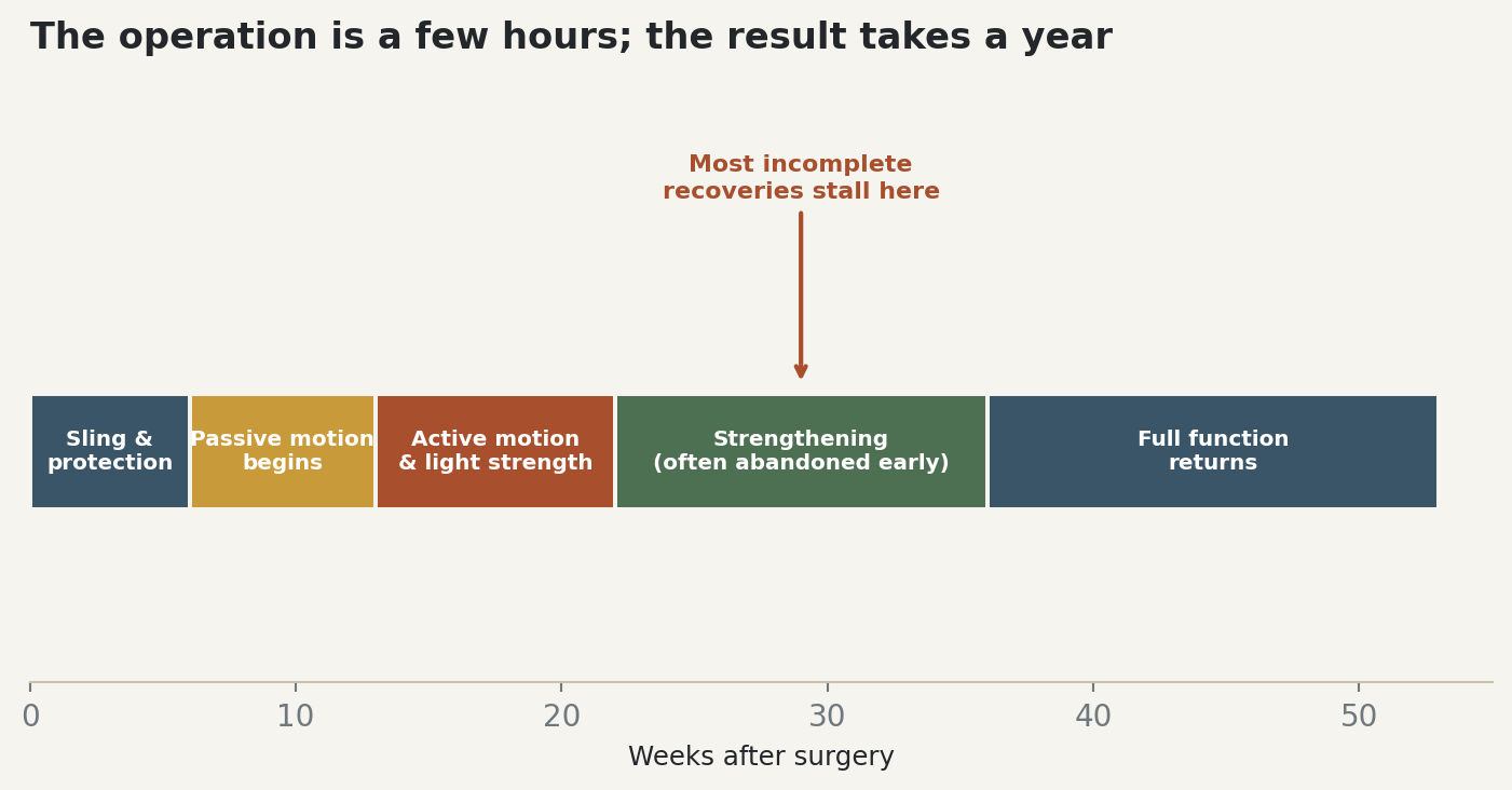 Chart: The operation is a few hours; the result takes a year