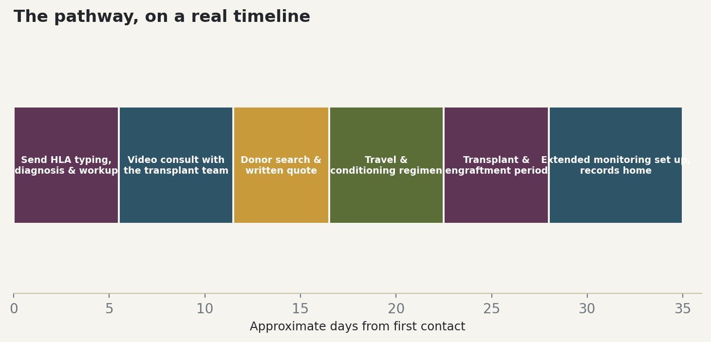 Chart: The pathway, on a real timeline