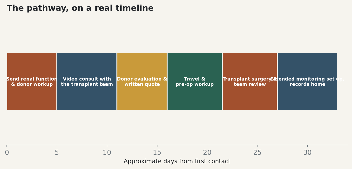 Chart: The pathway, on a real timeline
