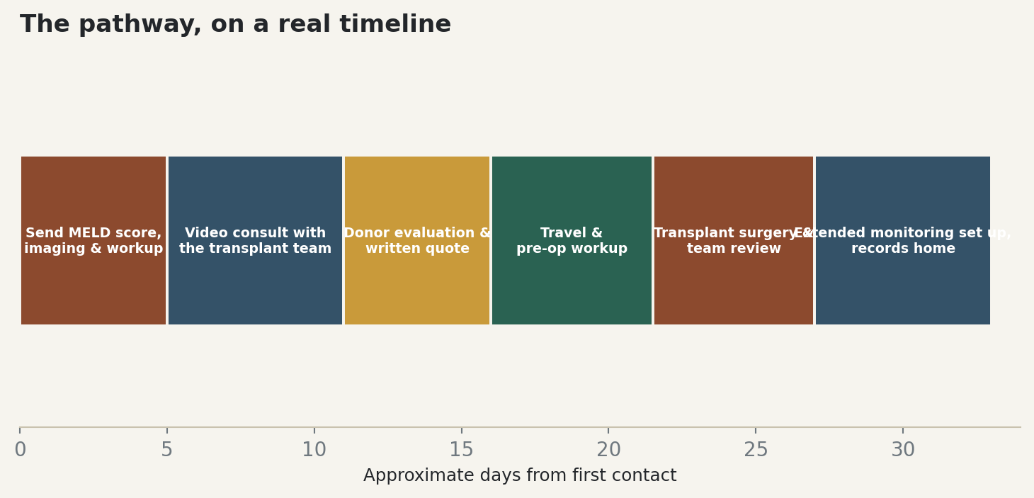 Chart: The pathway, on a real timeline