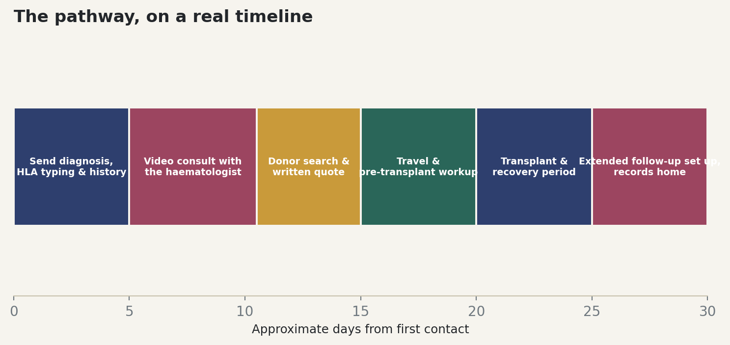 Chart: The pathway, on a real timeline