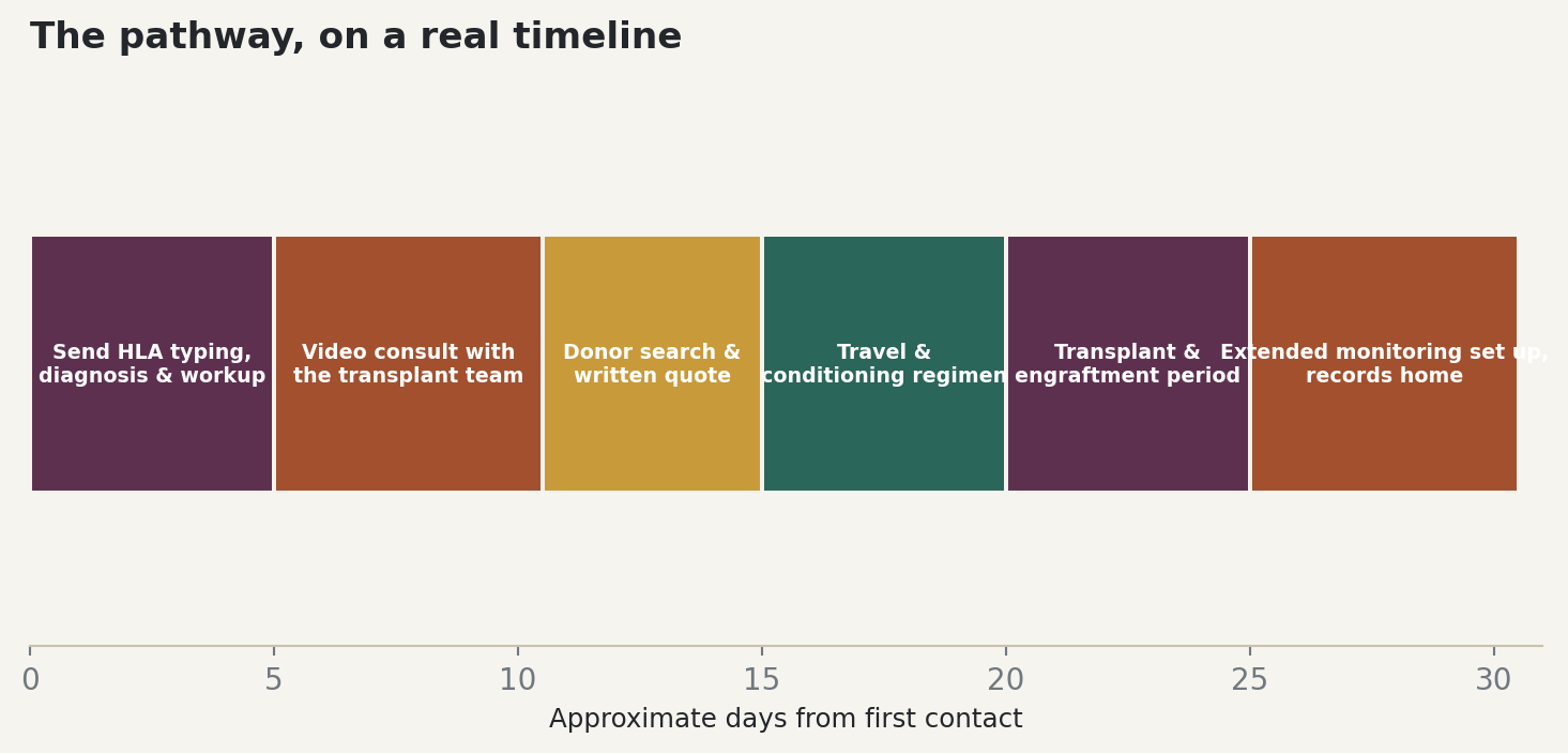 Chart: The pathway, on a real timeline
