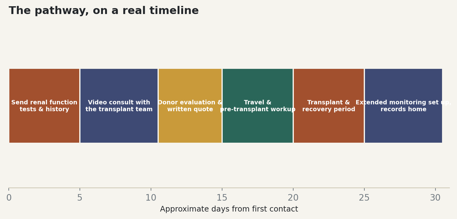 Chart: The pathway, on a real timeline