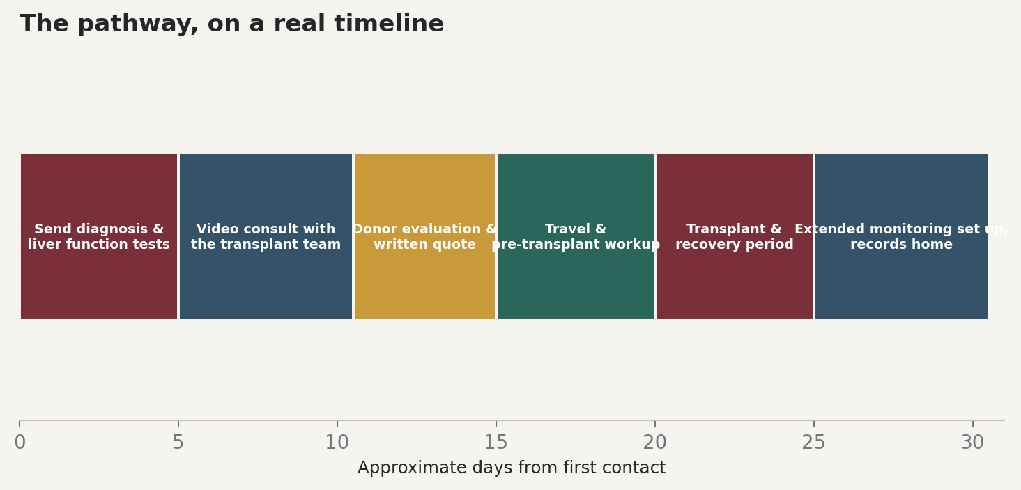 Chart: The pathway, on a real timeline