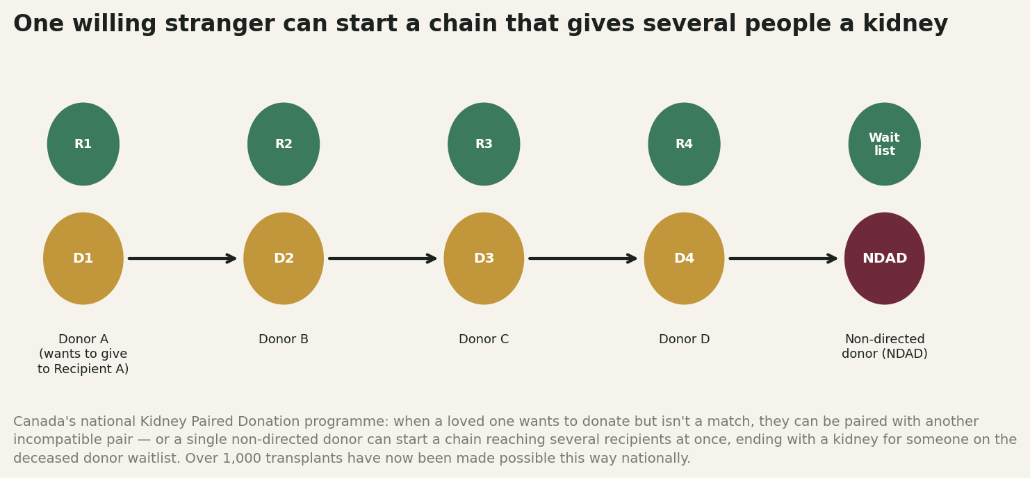 Chart: When your donor isn't a match: the paired exchange solution