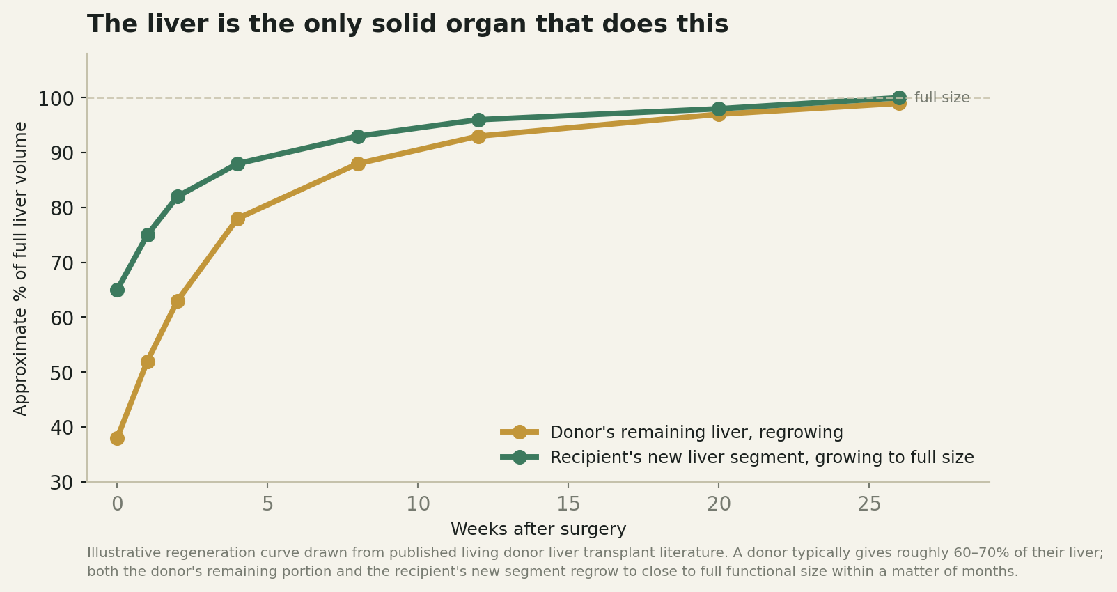 Chart: The liver does something no other organ in the body can do