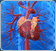 Cardiosurgery and Cardiac Medical Condition